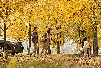 据报道Epic黑五大促11月22日开启：折扣+套娃券+返利