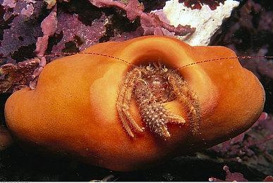 《永劫无间》Steam同时在线玩家峰值突破10万